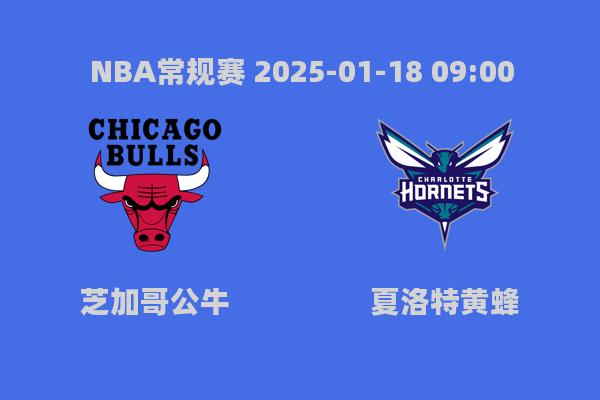 NBA常规赛：芝加哥公牛惜败夏洛特黄蜂，拉文40分难救主